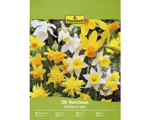 Bulbe Narcisse FloraSelf ' Wild Wonders ' 20 pièces