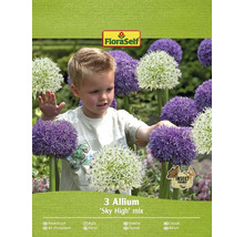 Bulbe Allium FloraSelf ' "Sky High" mélange ' 3 pièces