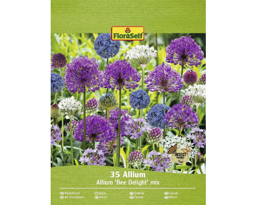 Bulbe Allium FloraSelf ' "Bee Delight" mélange ' 35 pièces