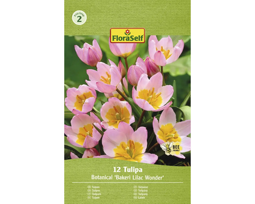 Verpackung Tulpen Botanical Bakeri Lilac Wonder mit Bienenfreundlich-Symbol
