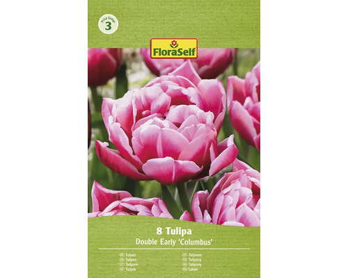 Verpackung mit acht Tulpen der Sorte Double Early Columbus
