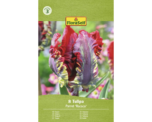 Paquet de 8 tulipes Parrot ''Rococo''