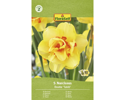 Bulbe Narcisse FloraSelf ' Tahiti ' 5 pièces