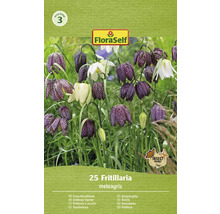 Paquet de bulbes de fleurs fritillaire pintade FloraSelf avec le symbole respectueux des insectes