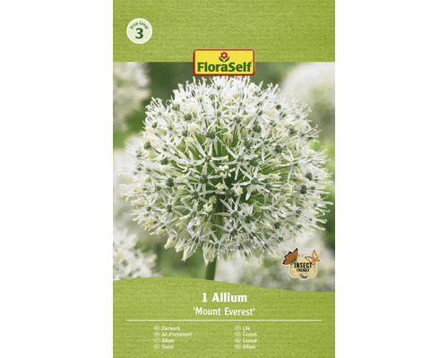 Bulbes d'ail d'ornement FloraSelf 'Mount Everest' 1 pièce