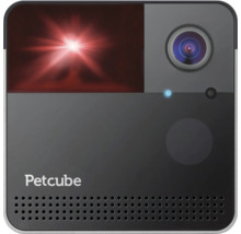 Caméra pour animaux de compagnie Petcube avec fonction de vision nocturne