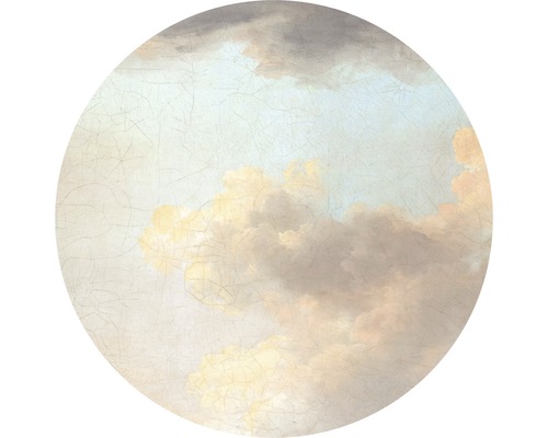 Papier peint panoramique autocollant D1-014 Dot Relic Clouds Ø 125 cm