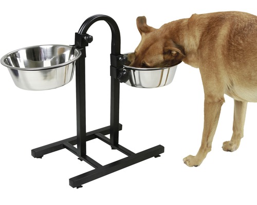 Verstellbarer Futterständer mit zwei Edelstahlnäpfen und einem Hund, der daraus frisst.