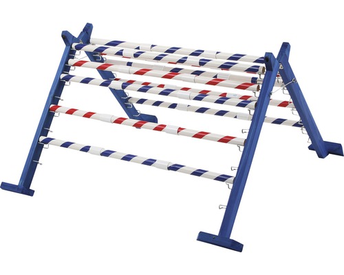 Haie de saut agility combinée avec dix bâtons en plastique