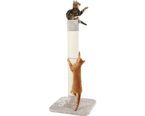 Arbre à chat avec deux chats