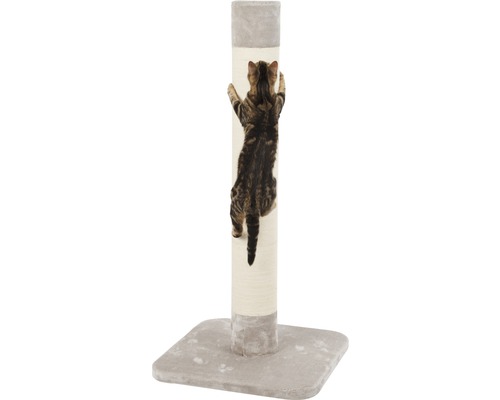 Chat grimpant sur un arbre à chat avec un tronc en sisal