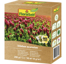 Packung FloraSelf Inkarnatklee Saatgut
