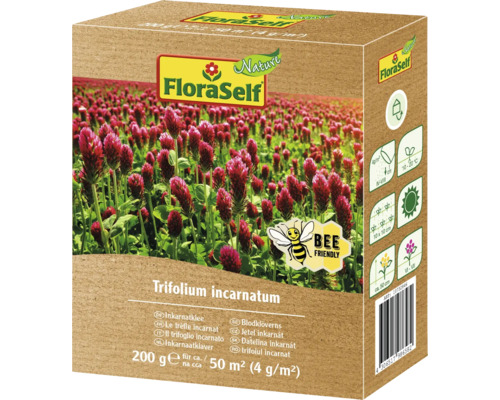 Inkarnatklee FloraSelf 200 g ca. 50 m² Blumensamen