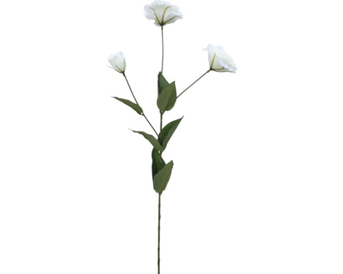 Fleur artificielle Lisicodon grandiflorum fibre synthétique métal plastique 69 cm blanc Fleur artificielle Lisicodon grandiflorum fibre synthétique métal plastique 69 cm blanc