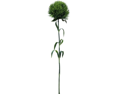 Fleur artificielle Dianthus viridis fibre synthétique métal plastique 54 cm vert Oeillet artificiel avec fleurs vertes