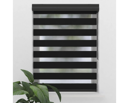Fenster mit schwarzem Doppelrollo zur Lichtregulierung.