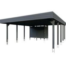Abri de voiture avec abri de jardin en bois