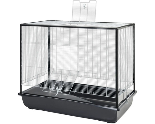 Cage pour rongeurs SAVIC Argus 120 Plexi Knockdown env. 118 x 64 x 94 cm, pliable, bord plexiglas, écartement de grillage 6,5 mm, pour les petits rongeurs noir/argent