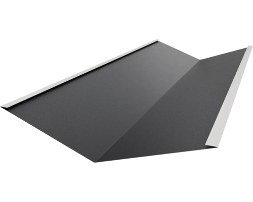 Tôle de toiture pour couverture de toit