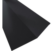 Firstfalz Dachblech