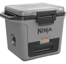 Ninja Kühlbox mit 30 Litern Fassungsvermögen
