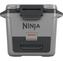 Ninja Kühlbox