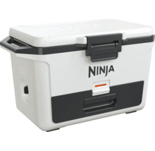 Ninja Kühlbox mit Tragegriffen
