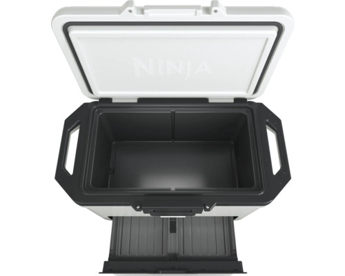 Geöffnete Kühlbox mit herausgezogenem Einsatz