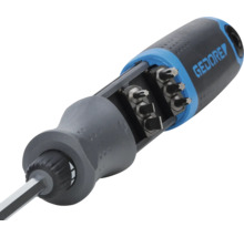 Gedore Schraubendreher mit Bitsatz