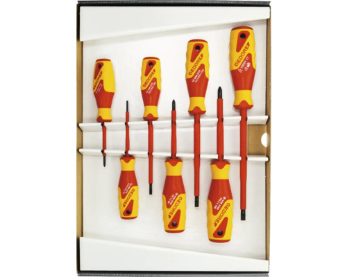 Gedore Schraubendrehersatz mit verschiedenen Schraubendrehern in einer Aufbewahrungsbox