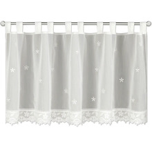 Rideau brise-bise blanc et transparent avec motifs floraux, fixation par passants et bordure décorative en dentelle.