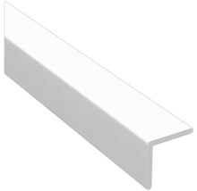 Kunststoff Winkelprofil