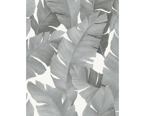 Papier peint intissé 31624 Avalon Floral noir argent Papier peint avec motif de feuilles de bananier