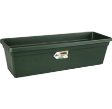 Balkonkasten Elho Green Basics L 60 cm Kunststoff grün