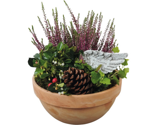 Grab Arrangement FloraSelf mit Calluna pink, Gaultheria, Efeu und Dekostecker Ø 19 cm Tonschale