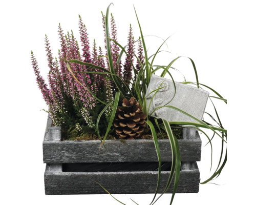 Composition pour tombe FloraSelf avec calluna rose vif et tuteur décoratif dans une caisse en bois Lxl 30 cm Composition pour tombe FloraSelf avec calluna rose vif et tuteur décoratif dans une caisse en bois Lxl 30 cm