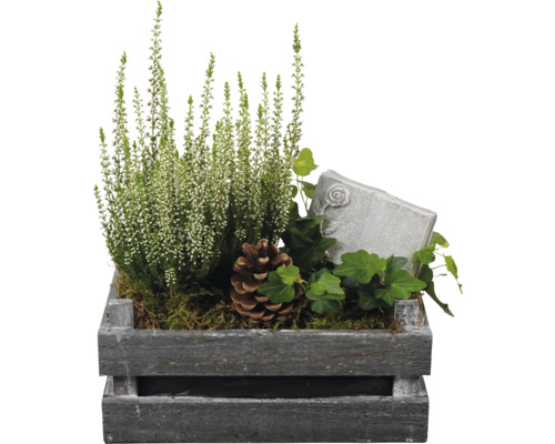 Composition pour tombe FloraSelf avec Calluna blanc et tuteur décoratif dans une caisse en bois Lxl 30 cm Composition pour tombe FloraSelf avec Calluna blanc et tuteur décoratif dans une caisse en bois Lxl 30 cm