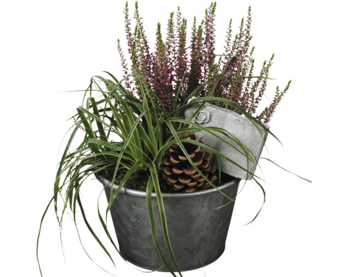Composition pour tombe FloraSelf avec Calluna rosa, herbe décorative et tuteur décoratif pot en zinc Ø 19 cm Composition pour tombe FloraSelf avec Calluna rosa, herbe décorative et tuteur décoratif pot en zinc Ø 19 cm