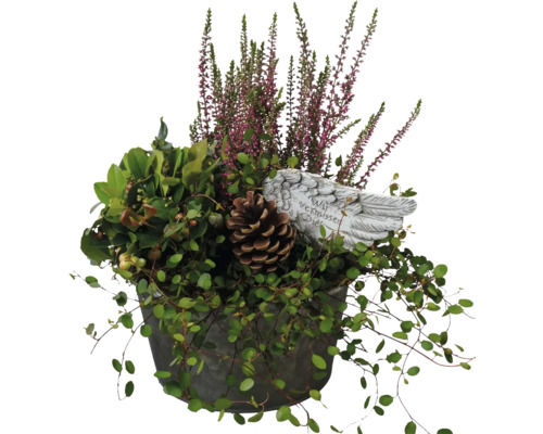 Composition pour tombe FloraSelf avec Gaultheria, Calluna et tuteur décoratif pot en zinc Ø 22 cm