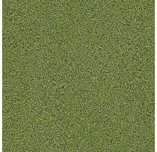 Surface verte avec structure de gazon