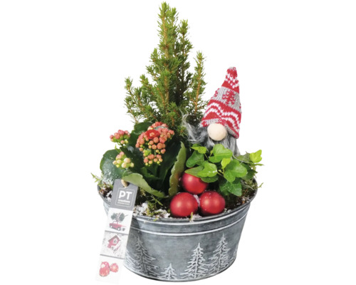 Arrangement Mini Weihnachtsbaum FloraSelf H ca. 25 cm Ø 18 cm Zinktopf