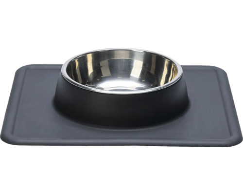 Gamelle en acier inoxydable pour animaux de compagnie avec base antidérapante