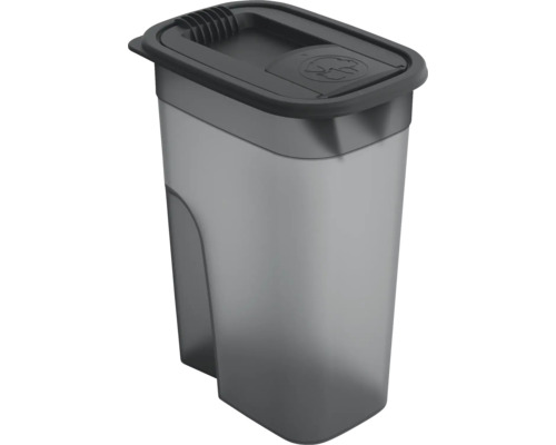 Récipient à nourriture rotho Flo récipient à nourriture 4,1 l, étanche aux odeurs anthracite Boîte de conservation en plastique avec couvercle