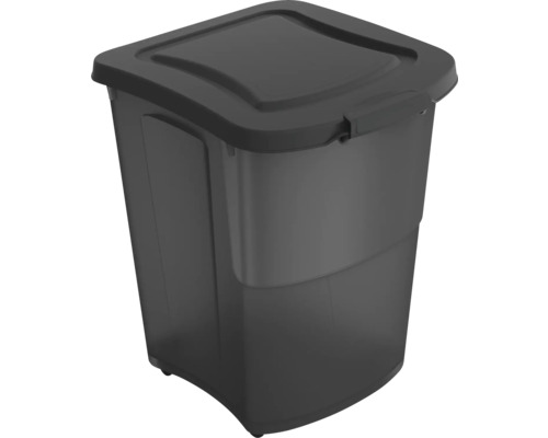 Récipient à nourriture rotho Archie récipient à nourriture 38 l, étanche aux odeurs anthracite Boîte de rangement en plastique avec couvercle