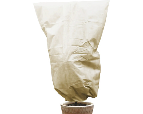 Plante en pot avec voile d''hivernage