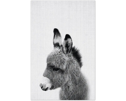 Dekomagnete Print 64 8,5x5,5 cm