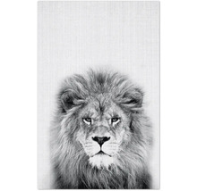 Affiche en noir et blanc avec une tête de lion