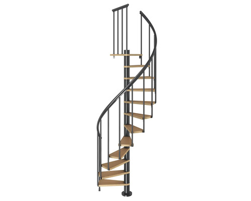 Escalier en colimaçon Pertura Arissa hêtre Mutliplex Ø 120 cm noir 11 marches 12 pas de marche