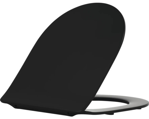 Toilettendeckel aus Kunststoff