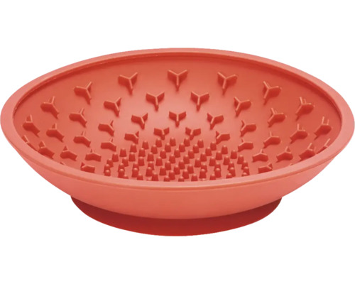 Bol avec picots en plastique